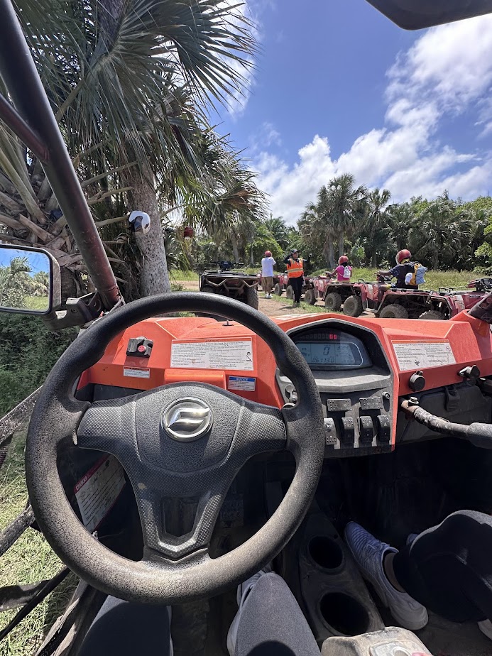 Inside of the buggy