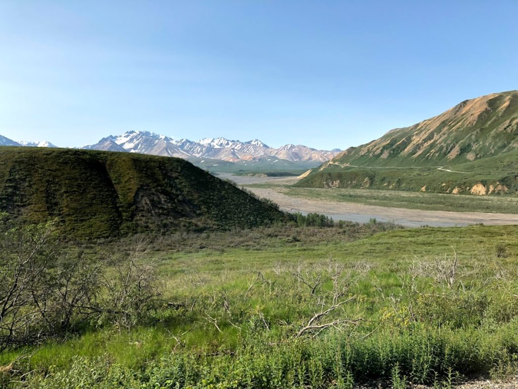 Picture of Denali National Park in Alaska 