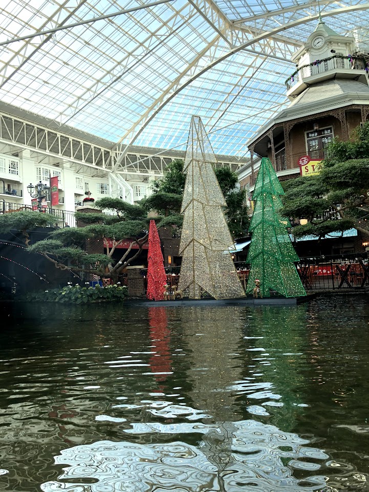 Picture of Christmas trees seen on the Christmas boat ride down the indoor river at the Gaylord Opryland Resort in Nashville