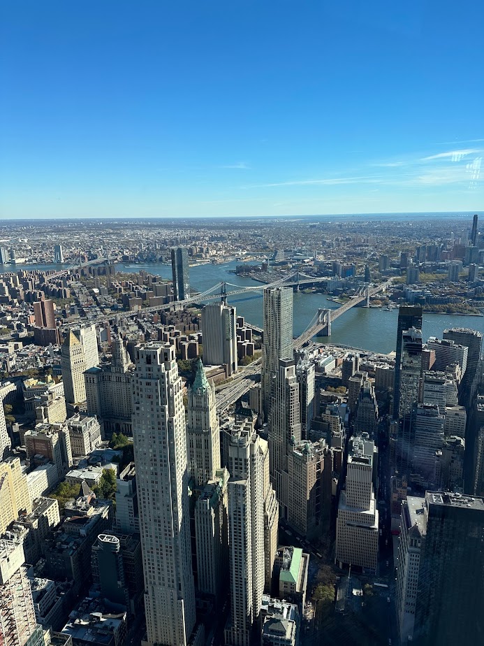 View of New York City from above 