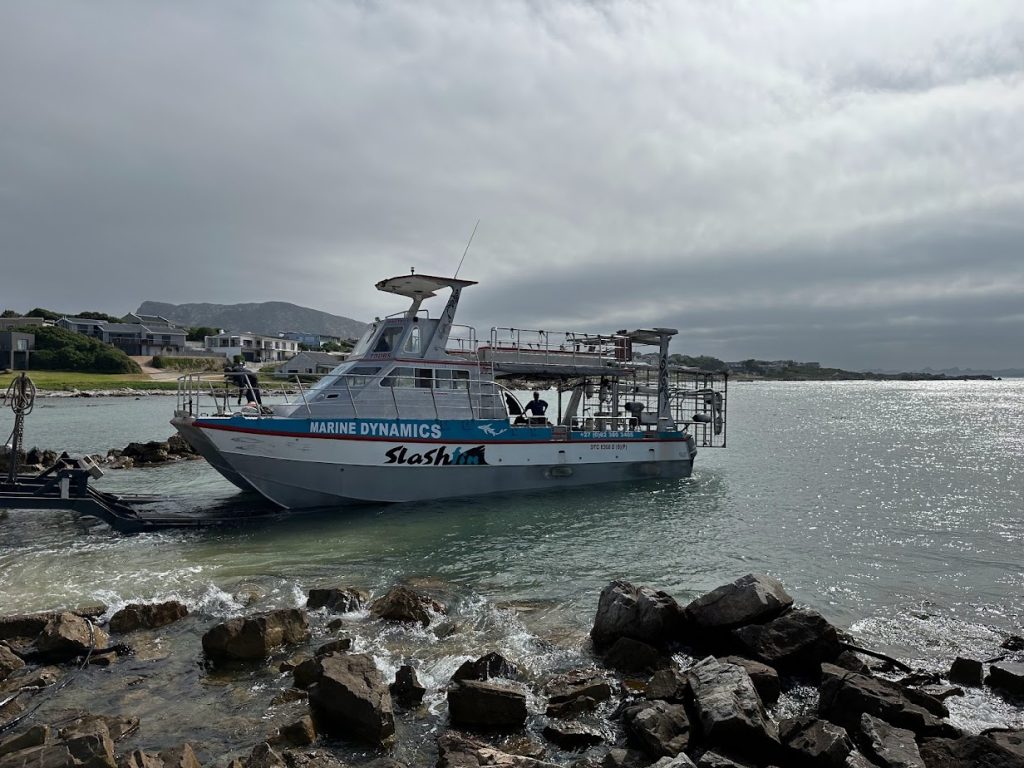 Marine Dynamics has a great shark cage diving tour in South Africa. Sit on top of their boat for the best views!