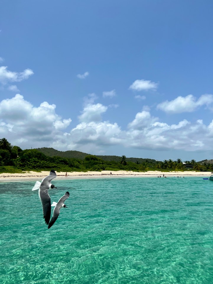 Picture of the turquoise water at Flamenco Beach on the island of Culebra, which is one of the most popular places to visit in Puerto Rico.