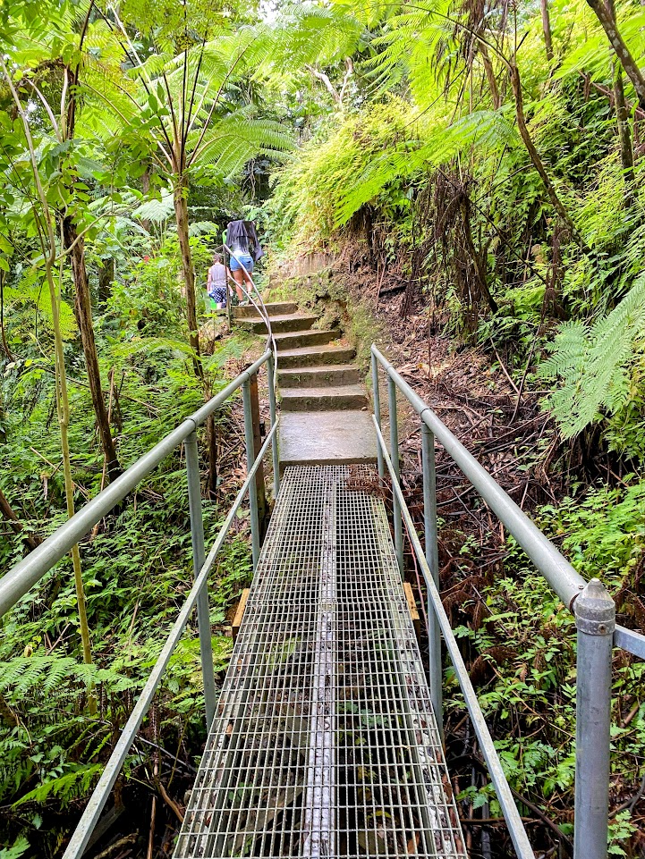 Picture of a bridge on the hiking trail in El Yunque National Forest of Puerto Rico.