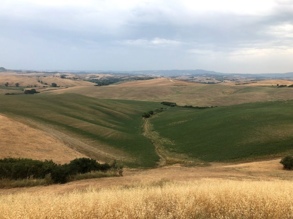 Picture of the hills in Lajatico. It is one of the best day trips from Florence because you cannot see hills like this in a big city.