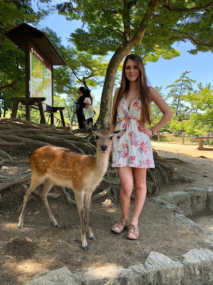 japan itinerary nara deer